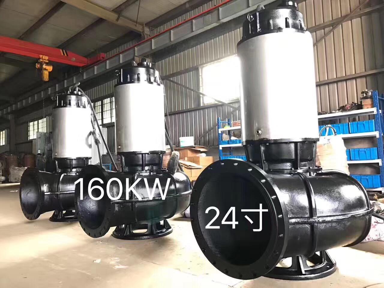 廠區污水處理大流量污水泵 3