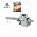 Shenzhen plastic string mozzarella cheese packaging machine 1