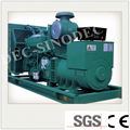 Small Engine Power Biomass Generator