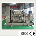  Ce ISO Approve Power Biogas Generator Price (170KW)