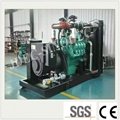  Ce ISO Approve Power Biogas Generator Price (170KW) 3