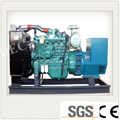  Ce ISO Approve Power Biogas Generator Price (170KW) 4