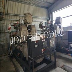 Hot Sale Abroad Electric Power Biomass Gas