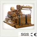 Hot Sale Abroad Electric Power Biomass Gas 2