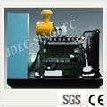 Trustworthy Low BTU Gas Generator Set 300kw