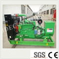 China 75kw Syngas Generator Set 1