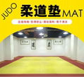 Judo mat 1