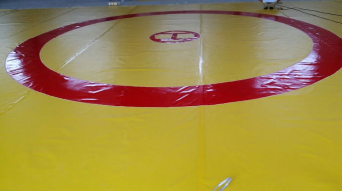 wresting mat   wresting PVC cover 5