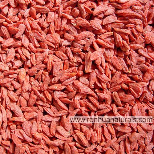 Organic goji berry,2018 new crop dried goji berry,Tibet goji ,wolfberry organic