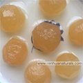 Sell Organic Ginger in Syrup Ginger Ball in Syrup 