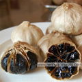 Organic Black Garlic Fermented Black Garlic Sweet Garlic