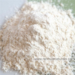 Organic Garlic Powder Dehydrated Garlic