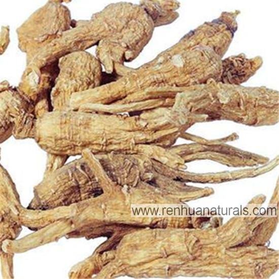 Sell Angelica Sinensis Angelica Roots Angelica Extract 3