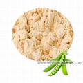 Manufacture Organic Pea Protein Powder