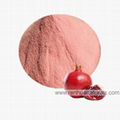 Fruits Juice Powder Pomegranate Juice Powder Apple Juice Powder Banana Powder 3