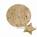 Sell Rice Protein Powder Brown Rice Protein Powder 80%