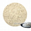 Sell Rice Protein Powder Brown Rice Protein Powder 80% 2