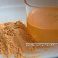 Manufacture Organic Goji Berry Powder