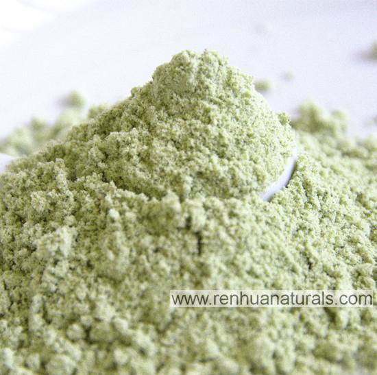 Manufacture Organic Hemp Protein Powder Hemp Protein 50%,60%,70% 3