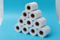 Thermal paper roll