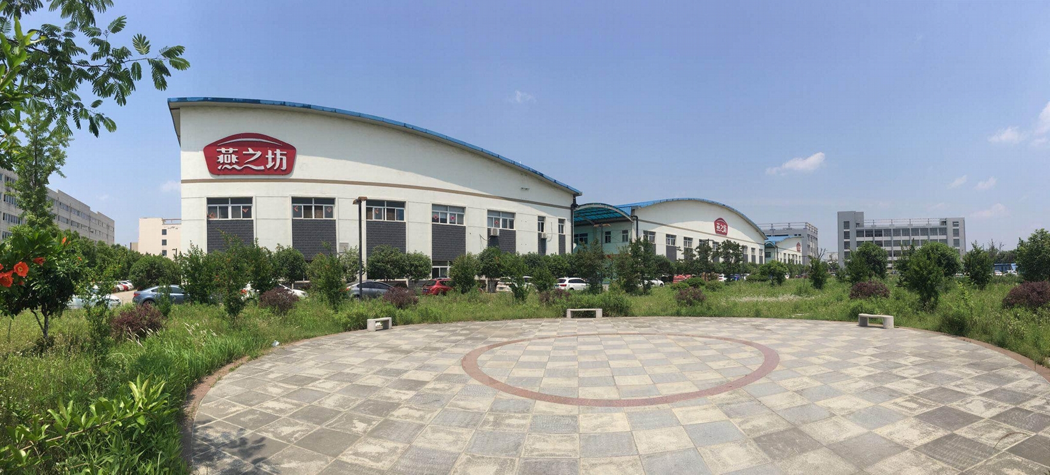 Anhui Yanzhifang Foods Co.,Ltd (China Manufacturer) Company Profile