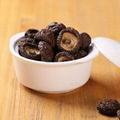 100% Natural Dried Shiitake Mushroom with Cheap Price