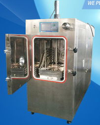 Vacuum dryer