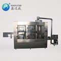 3000B/H Full automatic carbonated Drinking filling machine