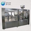 3000B/H Full automatic carbonated Drinking filling machine 3
