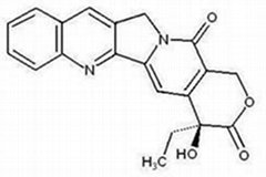 Camptothecin CAS: 7689-03-4