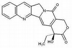 Camptothecin CAS: 7689-03-4