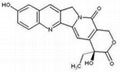 10-Hydroxycamptothecin CAS: 19685-09-7