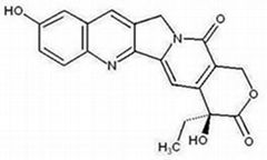 10-Hydroxycamptothecin CAS: 19685-09-7