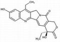  7-Ethyl-10-hydroxycamptothecin CAS.: 86639-52-3