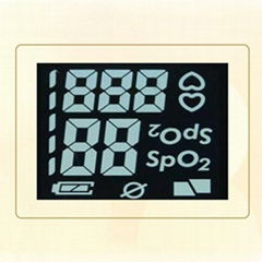 FSTN Segment LCD Display Panels