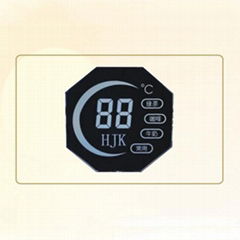 Shaped Segment LCD Display Panels