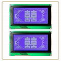 Chip On Board COB Graphic LCD Display Modules 2