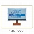 COG Chip On Glass Dot Matrix LCD Display