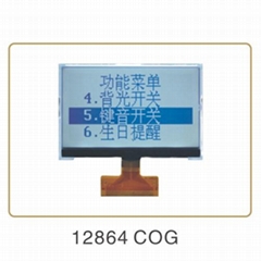 COG Chip On Glass Dot Matrix LCD Display Modules LCM