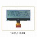 COG Chip On Glass Dot Matrix LCD Display Modules LCM 3