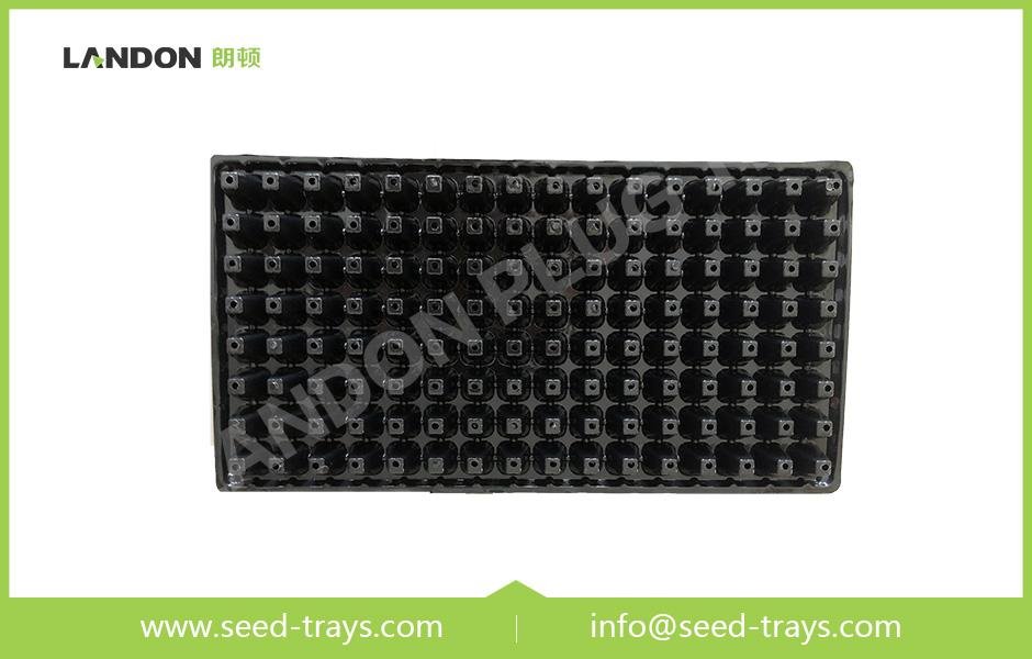 128 Cell Seedling Trays 3