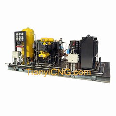 CNG Daughter Station Compressor