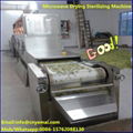 Tunnel Belt Herb Drying Machine Herb