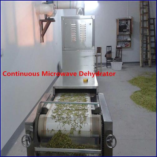 Tunnel Belt Herb Drying Machine Herb Dryer Sterilizer 3