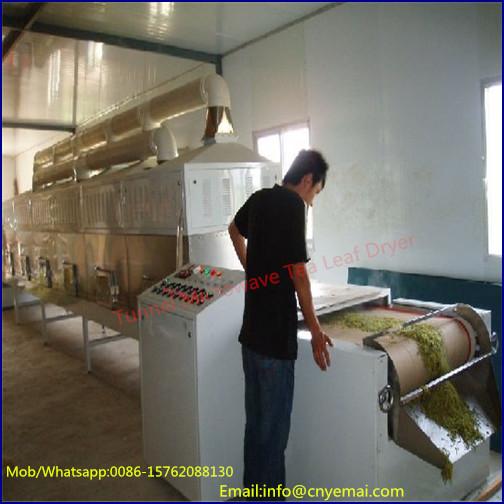 Tunnel Belt Herb Drying Machine Herb Dryer Sterilizer 4