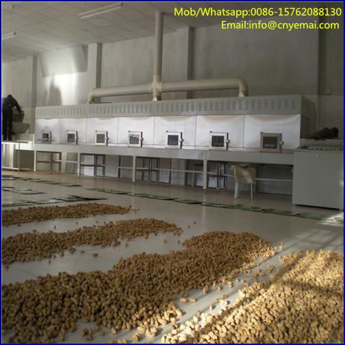 Continuous peanut roasting machine Microwave peanut roaster  2