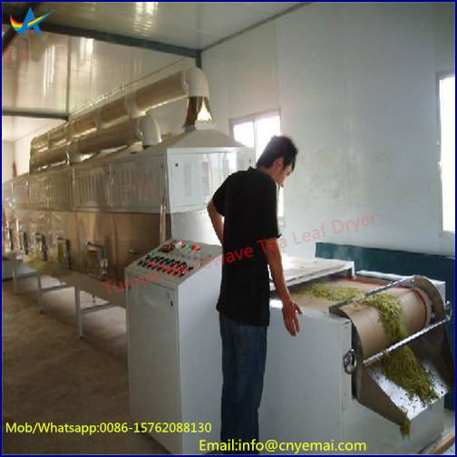 Tunnel Electric Microwave Tea Leaf Dryer Tea Drying Machine 2