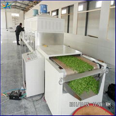 Green Tea Dryer Tea Processing Machine