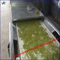 Stainless Steel Microwave Tea Dryer Sterilizer Tea Fixation Machine 4
