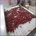 Tunnel Date Drying Sterilization Machine